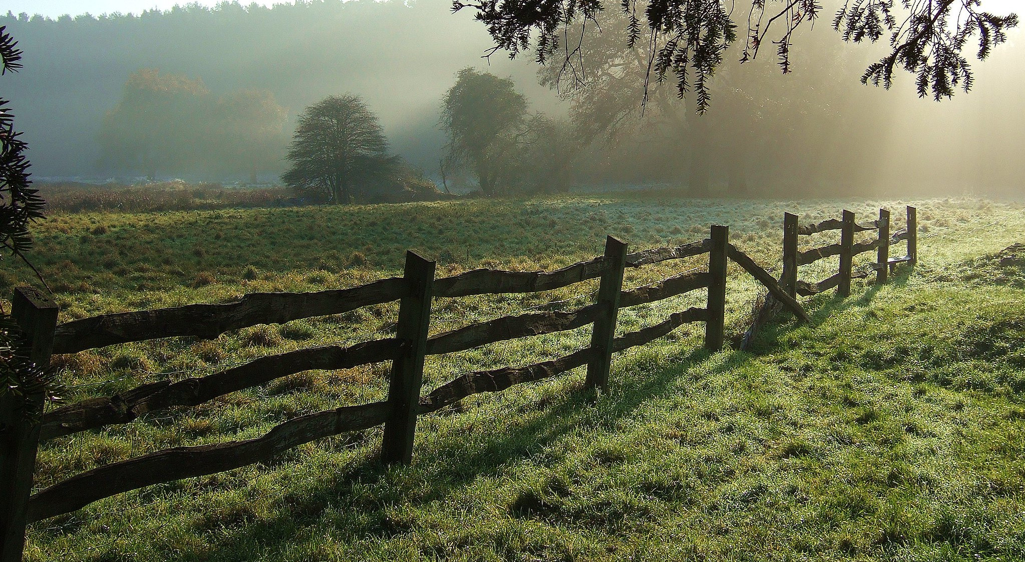 How businesses can use local AI models to improve data privacy