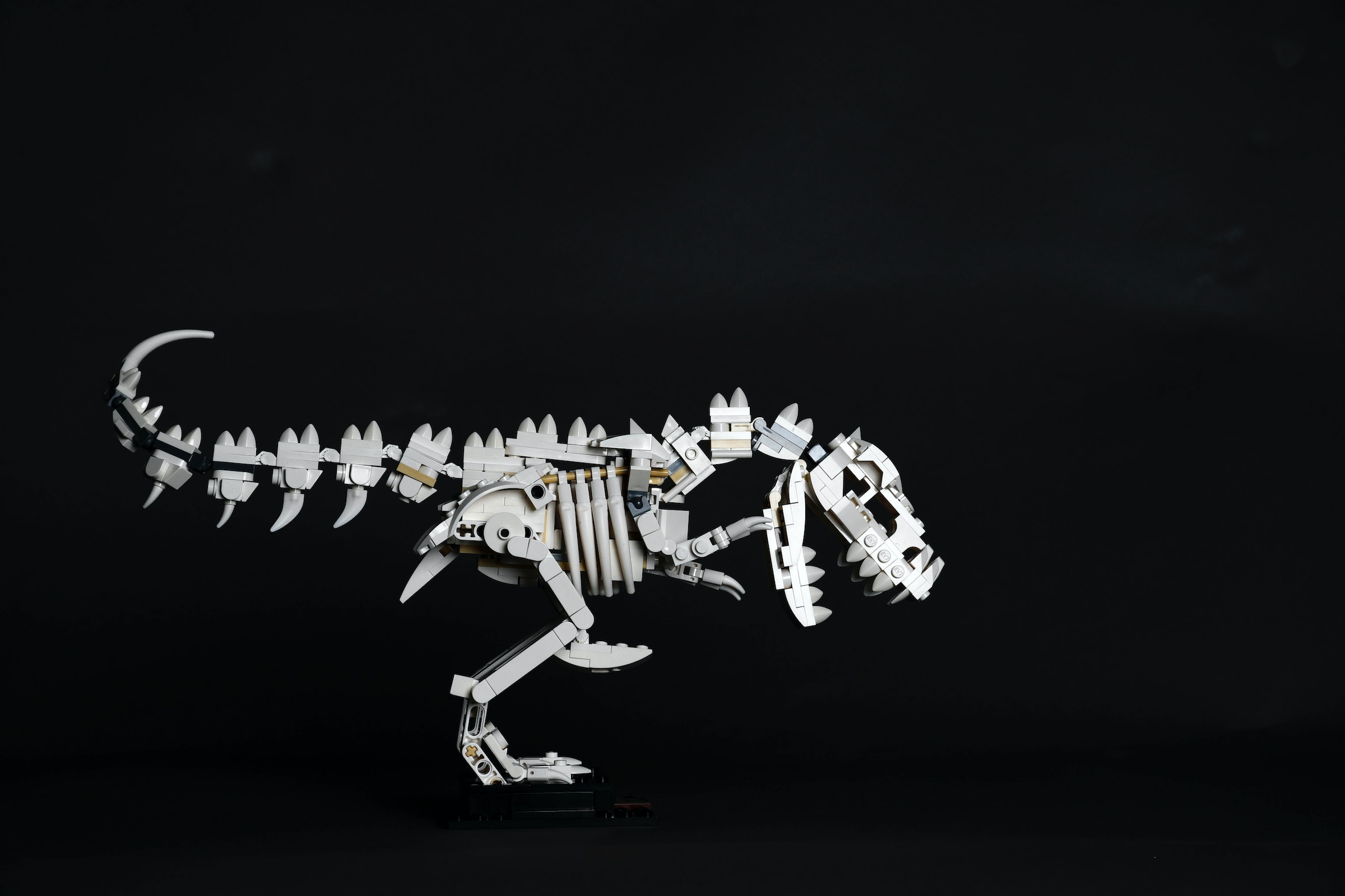 AI leaders warn about ‘risk of extinction’ in open letter